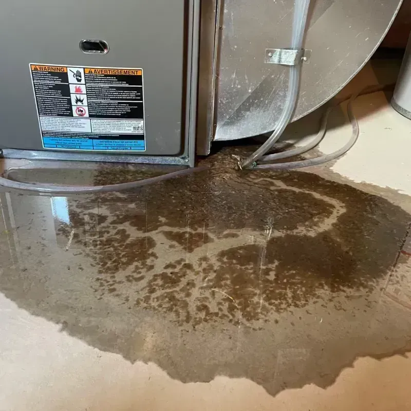 Appliance Leak Cleanup in Erie, CO